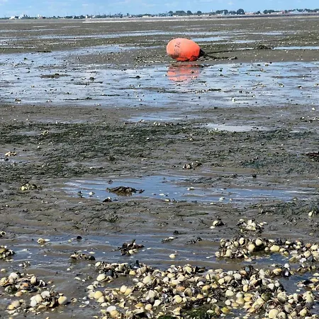 Grommy`s 2 Eckwarden Ferienhaus