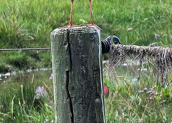 Casa vacanze Grommy's 2 Eckwarden *