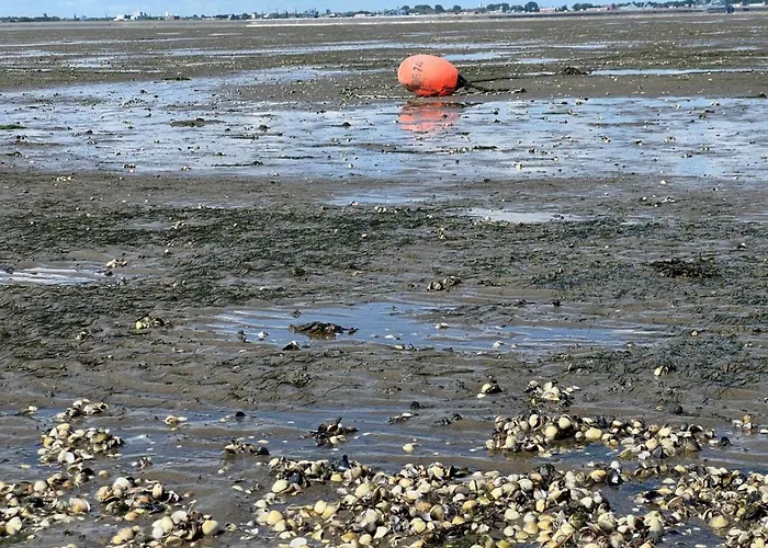 Grommy's 2 Eckwarden Casa vacanze