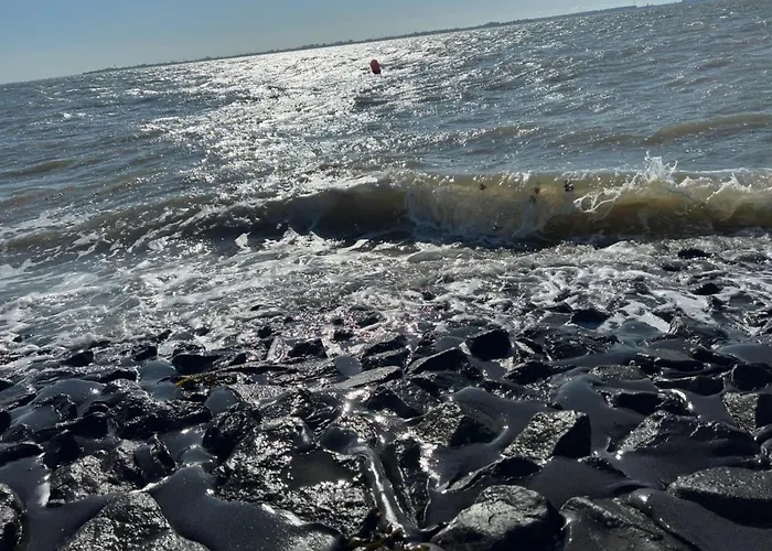 Grommy's 2 Eckwarden Grosswurden